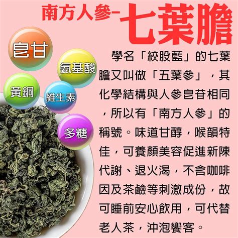 水缸豬膽學名|水缸豬膽學名2023詳盡懶人包!（持續更新）